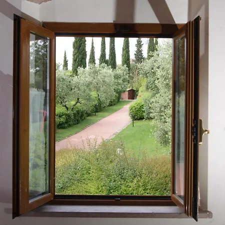 Comiti Buonarroti Apartment